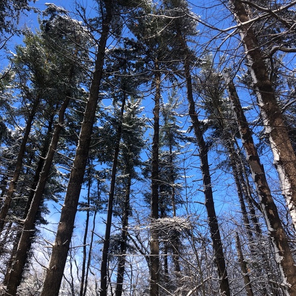 Meet your Posher, Roberto - Picture 8 of 16